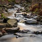 Der Fluss Radau im Harz