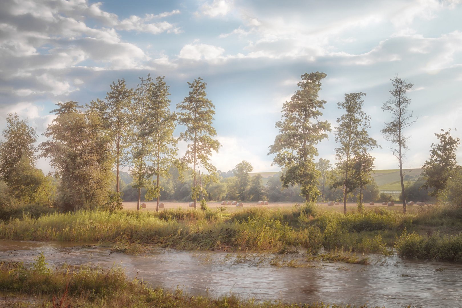 Der Fluss. Sommer