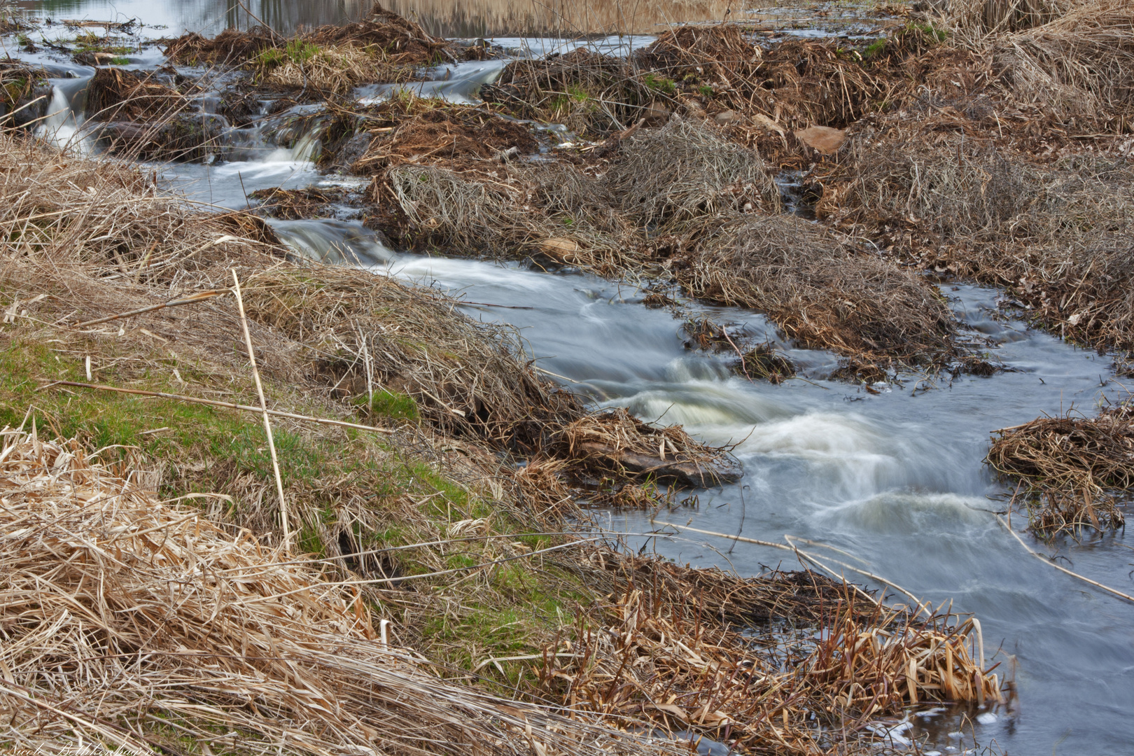 der Flusslauf