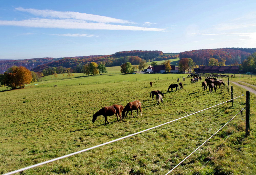 Der Fohlenhof in St. Johann