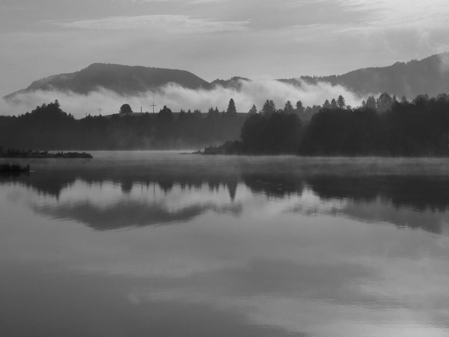 Der Forggensee am Morgen 01