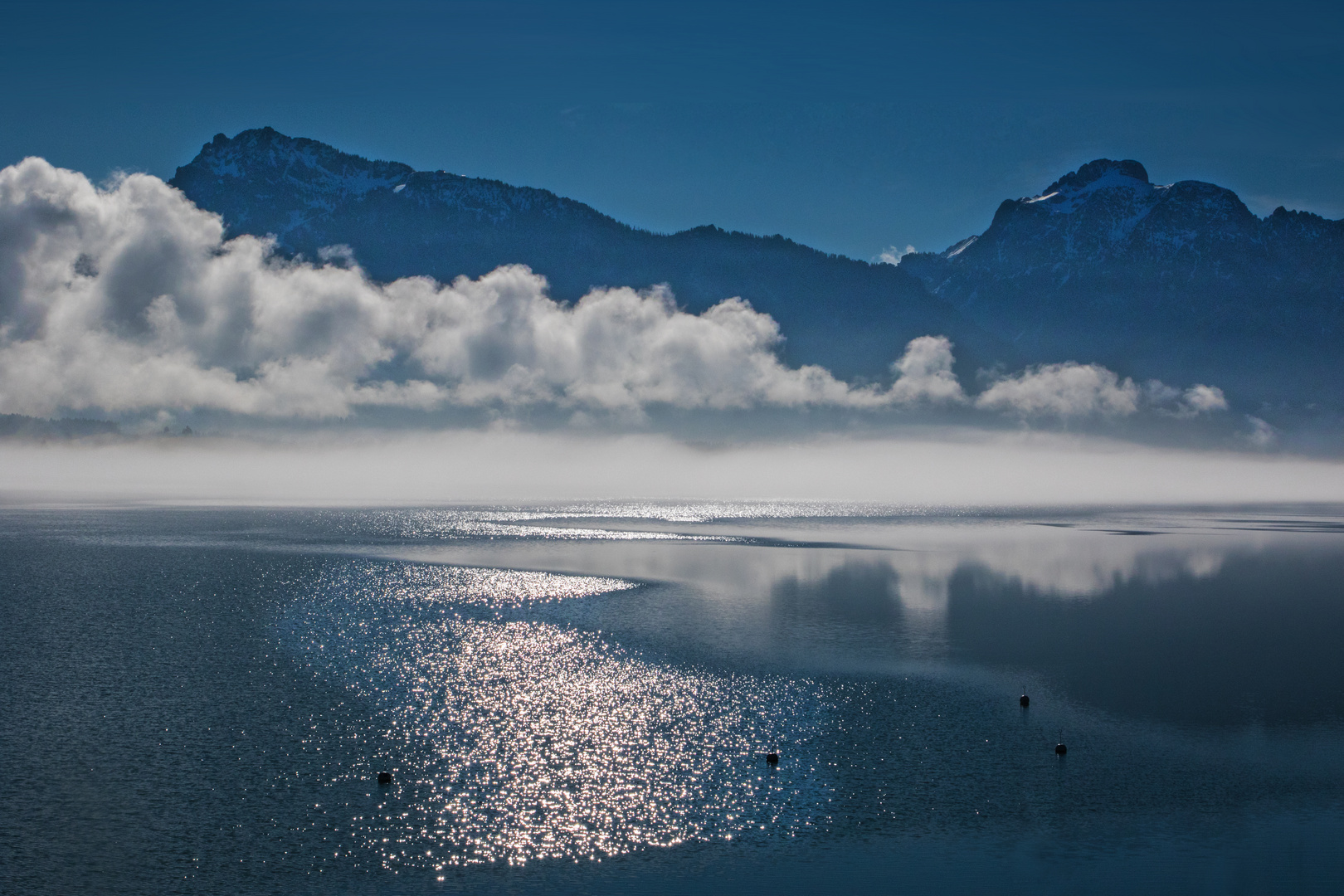 Der Forggensee 