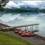 Der Forggensee im Allgäu ( 1 )