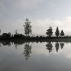 Der Forggensee im Allgäu in der Morgendämmerung