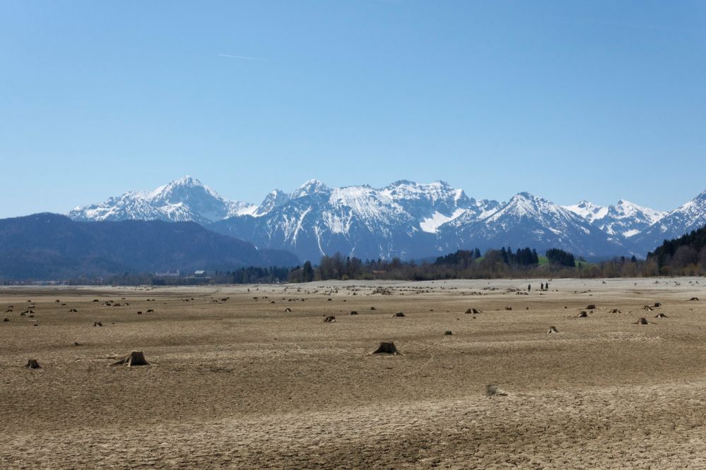 Der Forggensee im Frühjahr