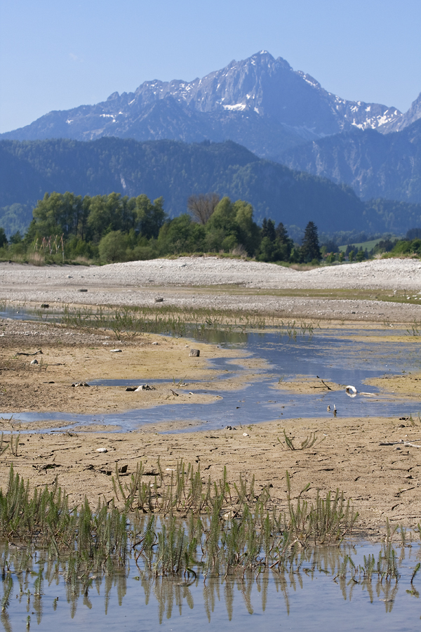 Der Forggensee im Mai 2011...