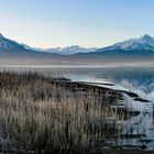 Der Forggensee mit seiner imposanten Bergkulisse.