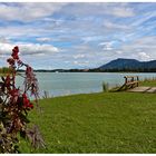 Der Forggensee Teil 1...