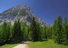 Der Forstweg zum Mitagskogel