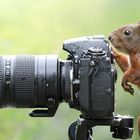 Der Fotograf