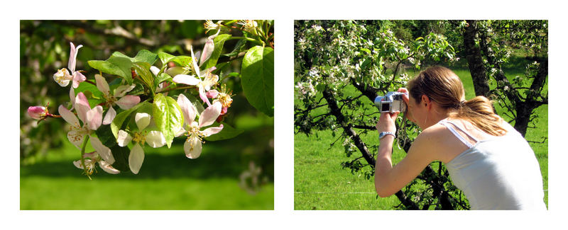 Der Fotograf