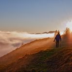 Der Fotograf aus dem Nebel