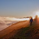 Der Fotograf aus dem Nebel