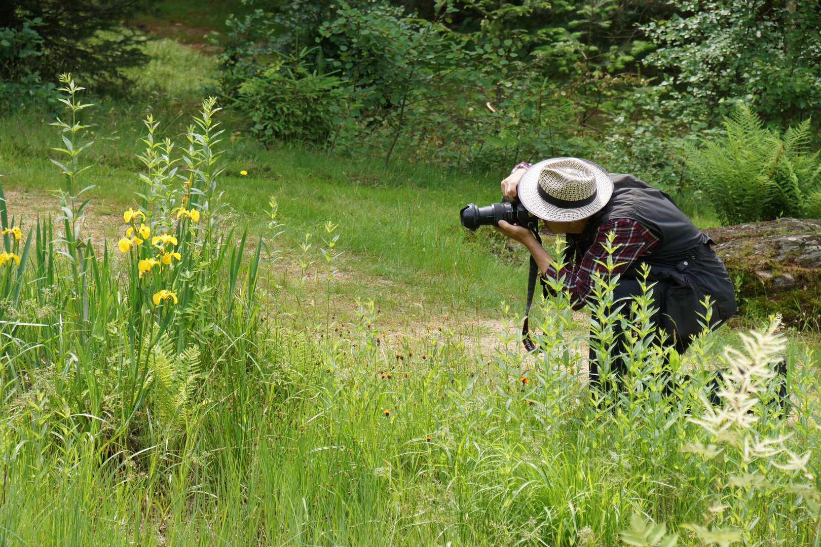 Der Fotograf