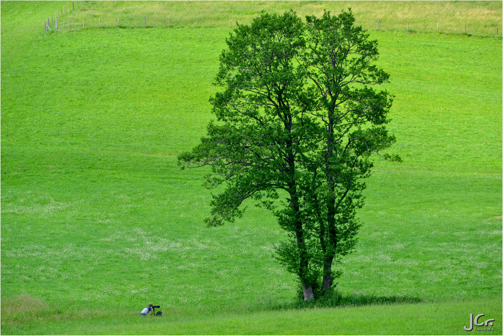 der Fotograf