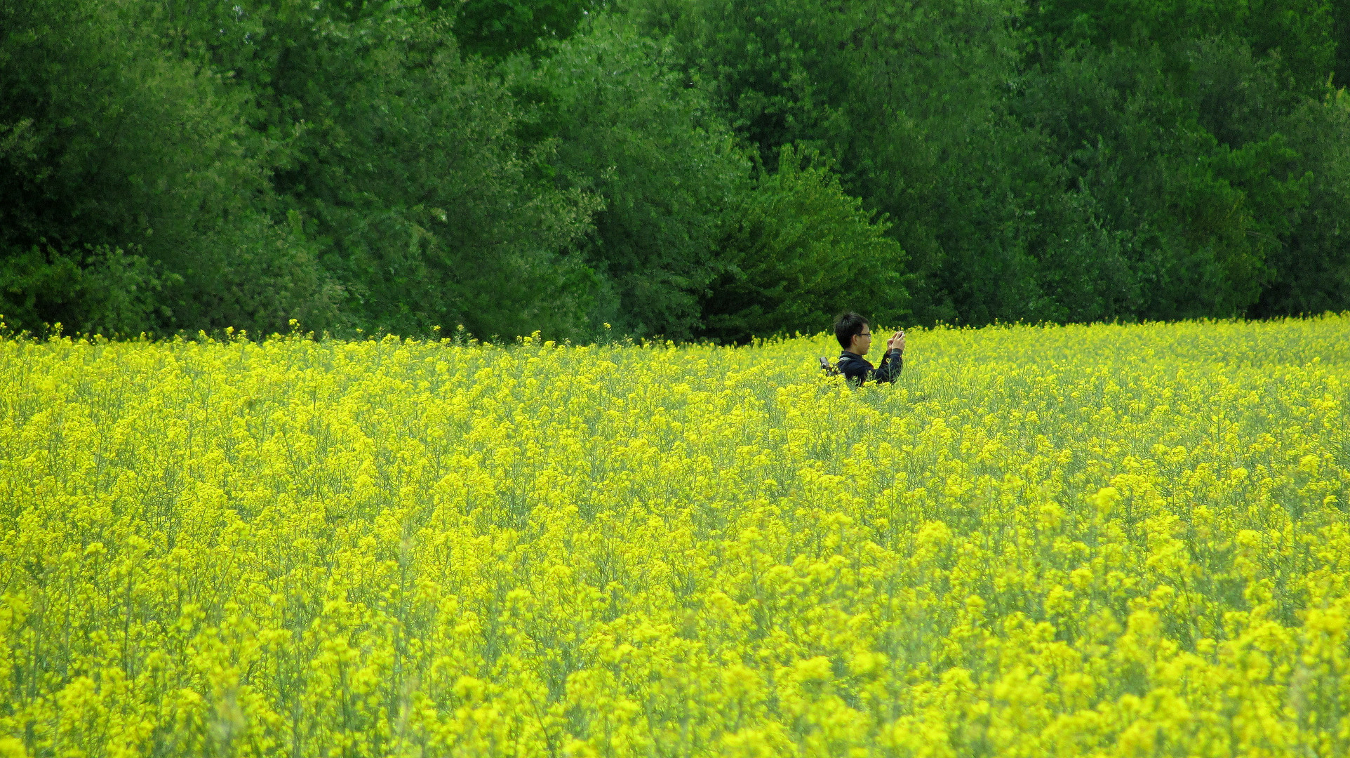 der Fotograf im Rapsfeld