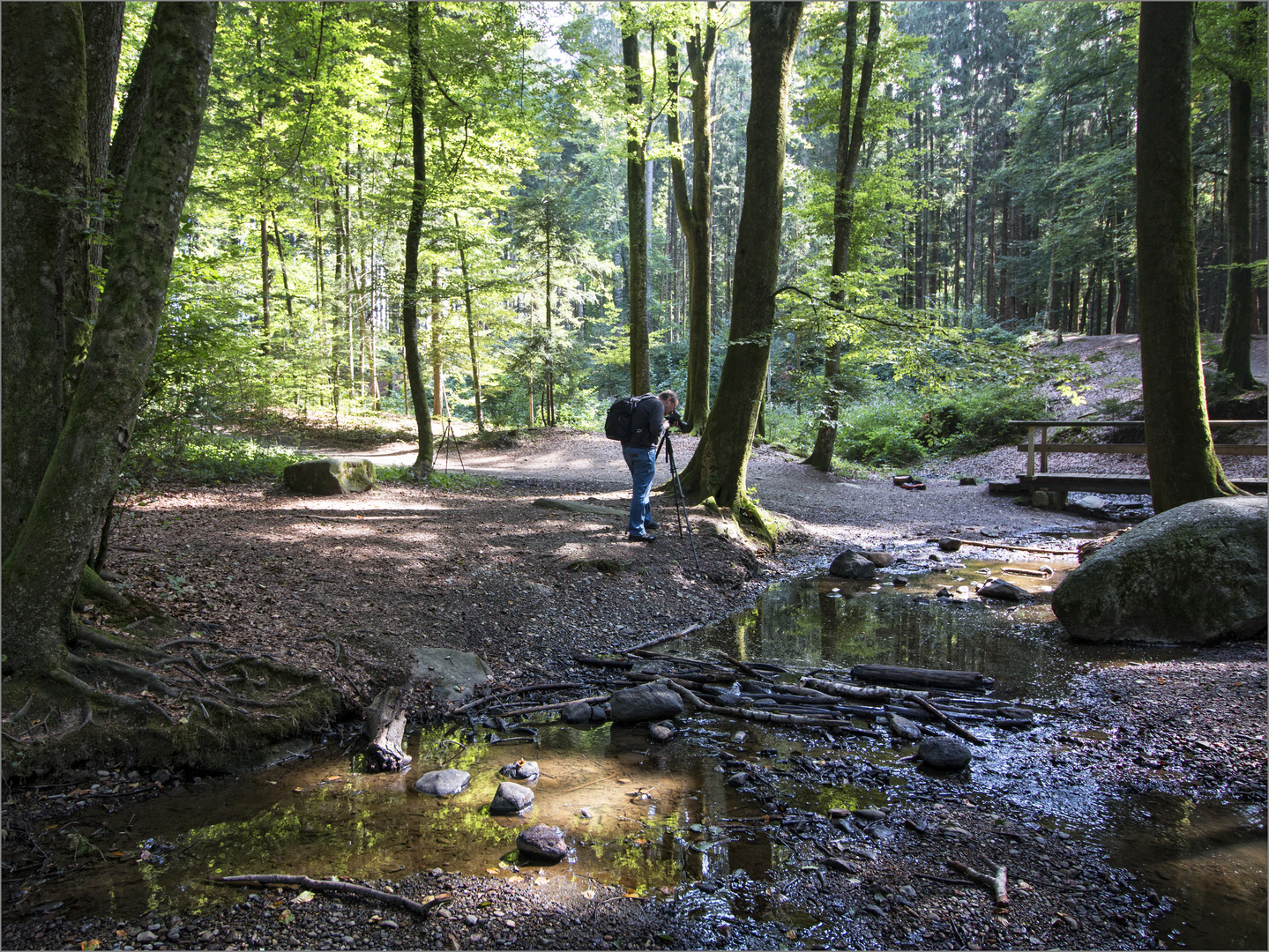 Der Fotograf im Wald am Gitz