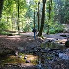 Der Fotograf im Wald am Gitz