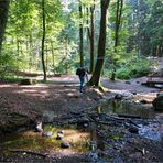 Der Fotograf im Wald am Gitz