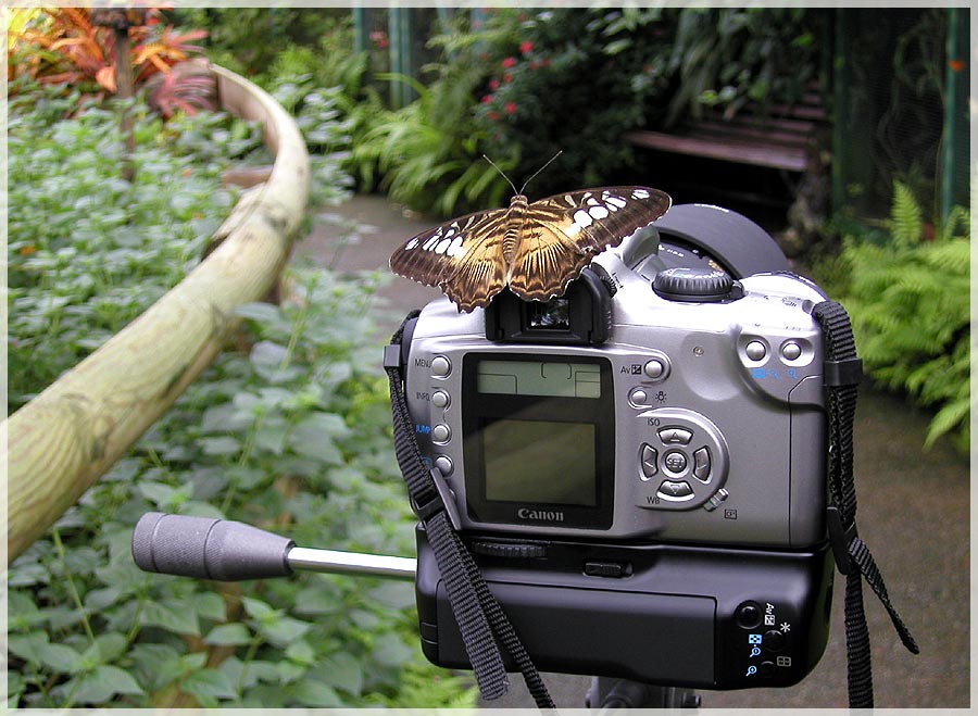 der Fotograf persönlich