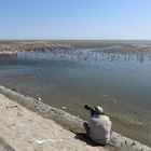 Der Fotograf schwelgt in der großen Masse der Fotomotive an der Walvisbay