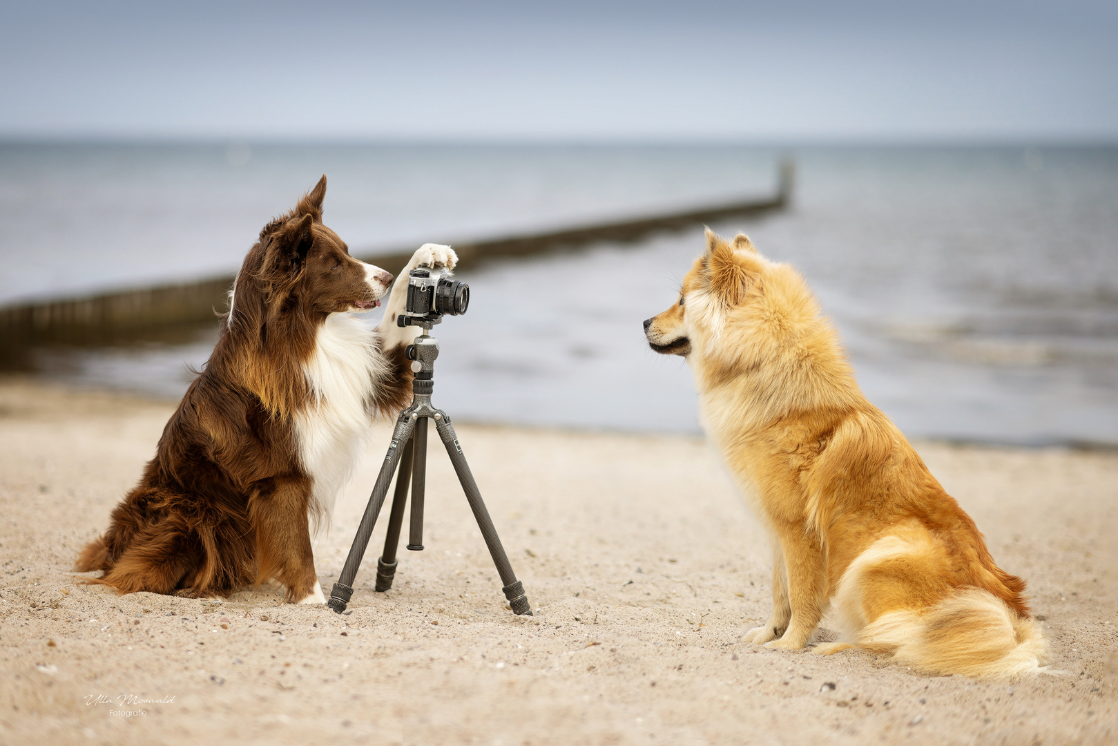 ...der Fotograf und das Model...