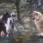 ...der Fotograf und das Model...