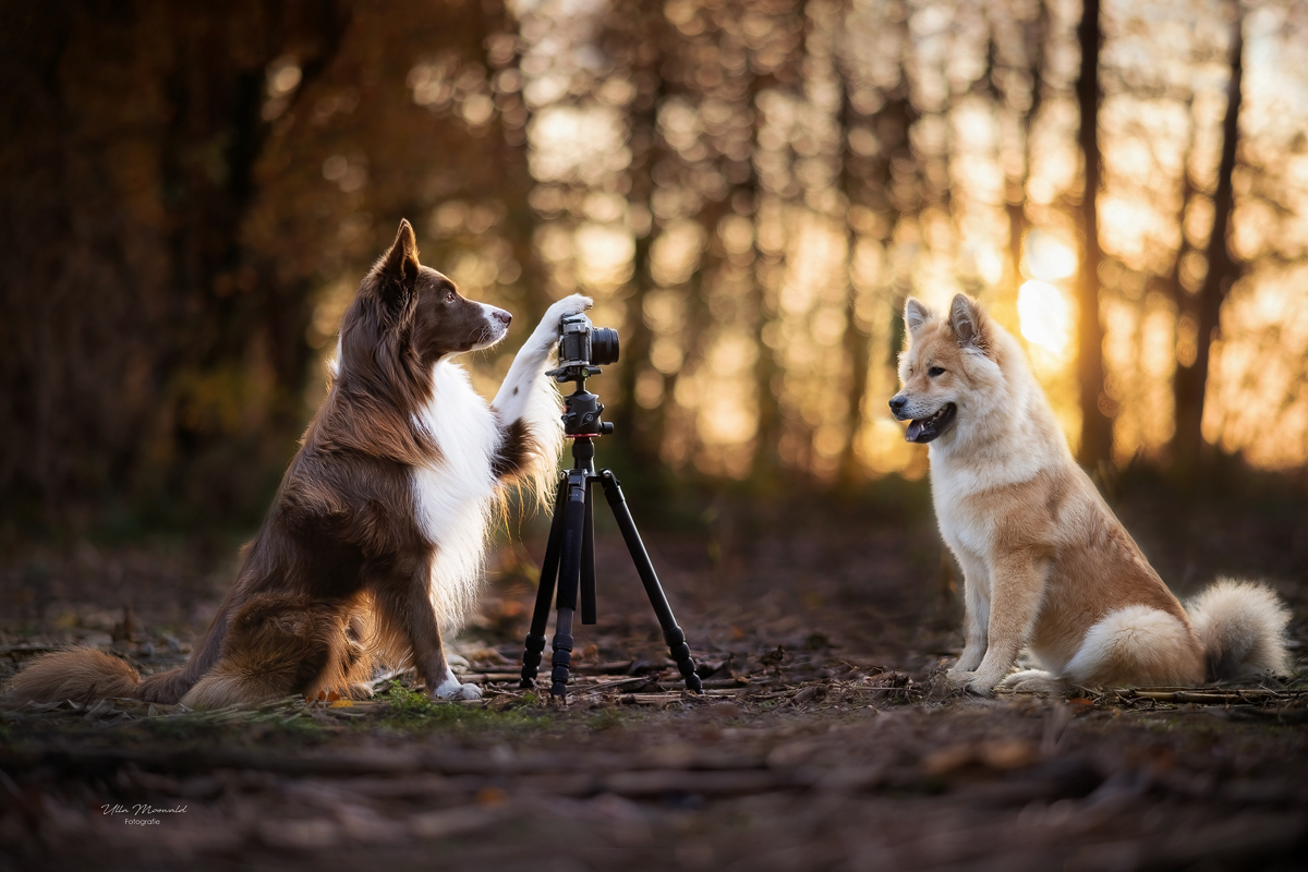 ...der Fotograf und das Model...