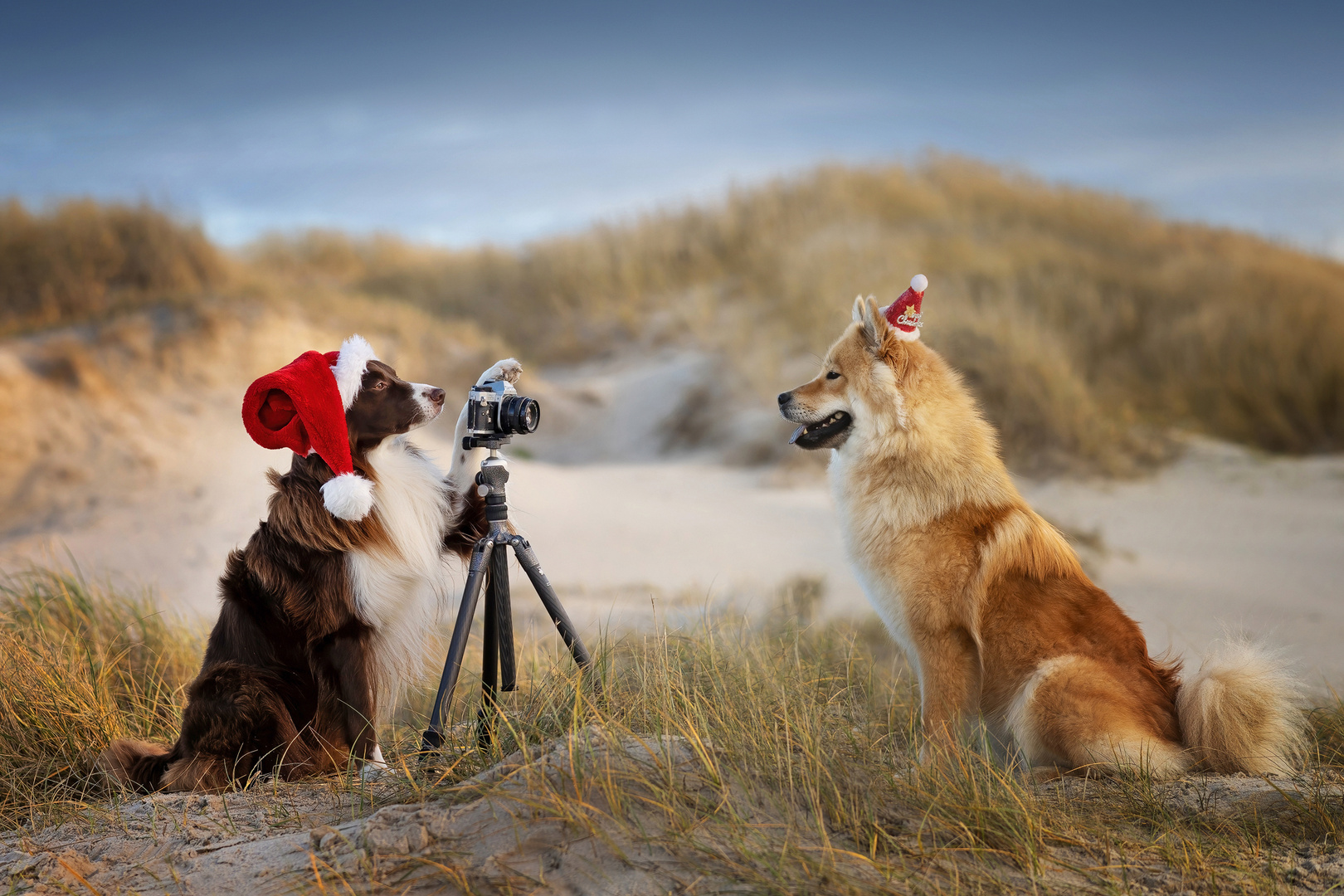 ...der Fotograf und das Model, Weihnachtsedition...