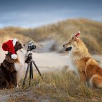 ...der Fotograf und das Model, Weihnachtsedition...