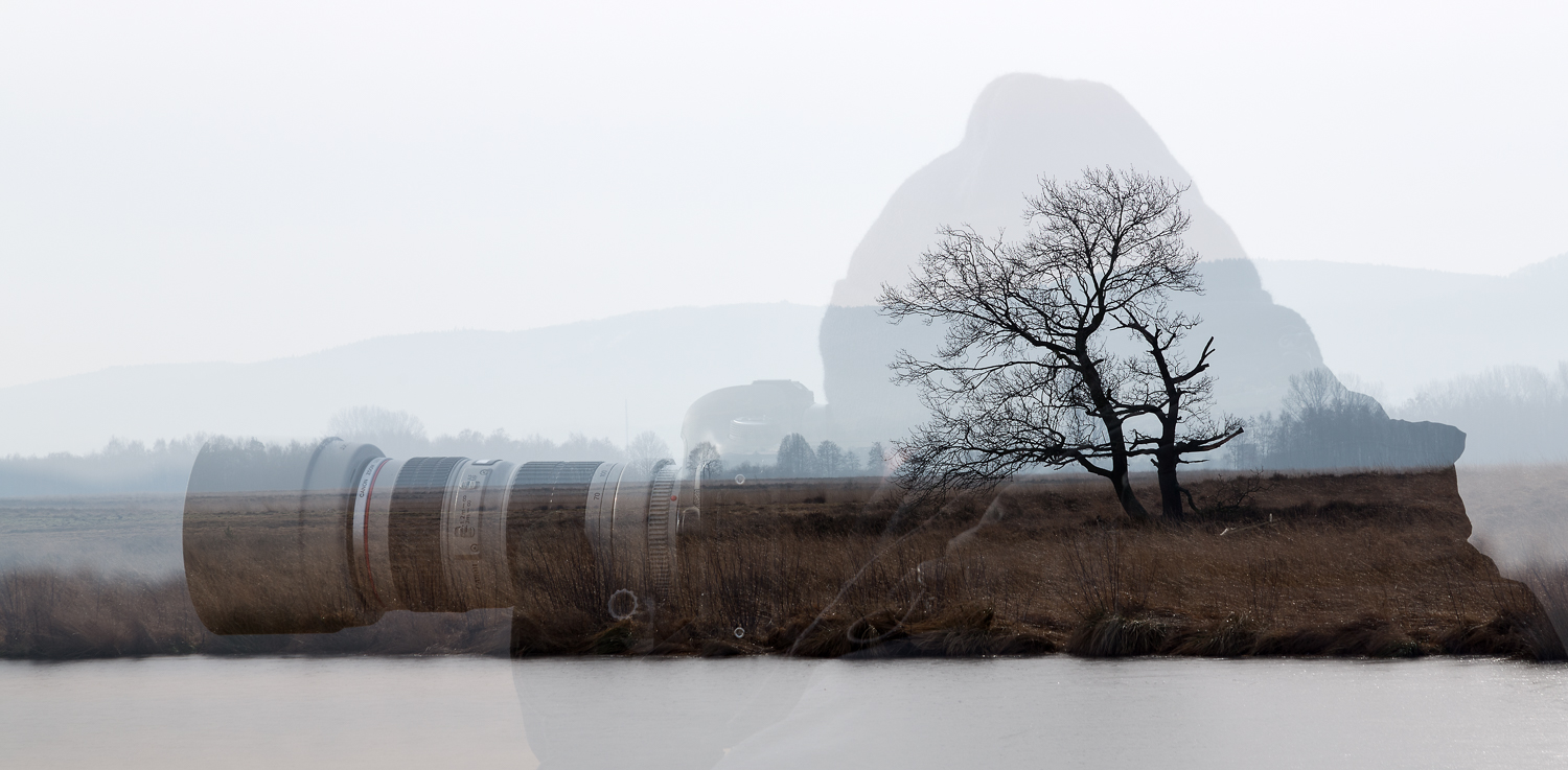 Der Fotograf und das Moor