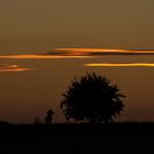 Der Fotograf und der Baum