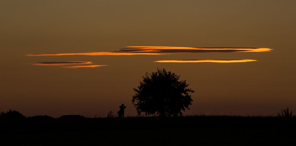 Der Fotograf und der Baum