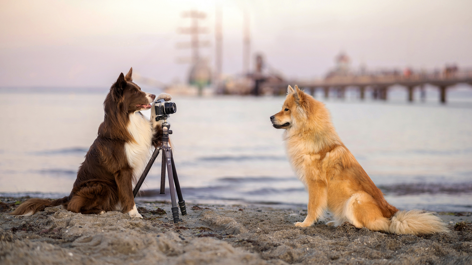 ...der Fotograf und sein Model...