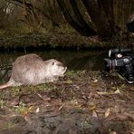 Der Fotograf und sein Model