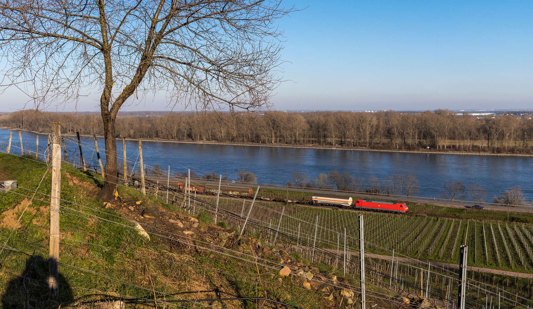 Der Fotograf und sein Motiv