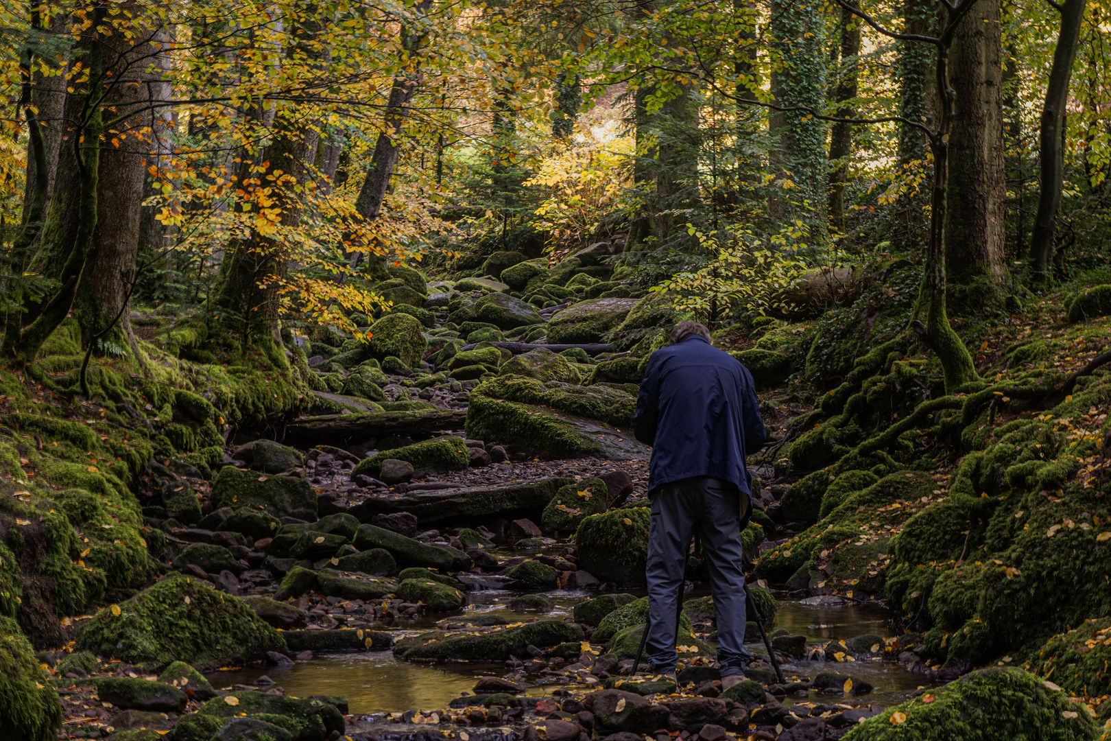 Der Fotograf und sein Motiv Monbachtal-08618