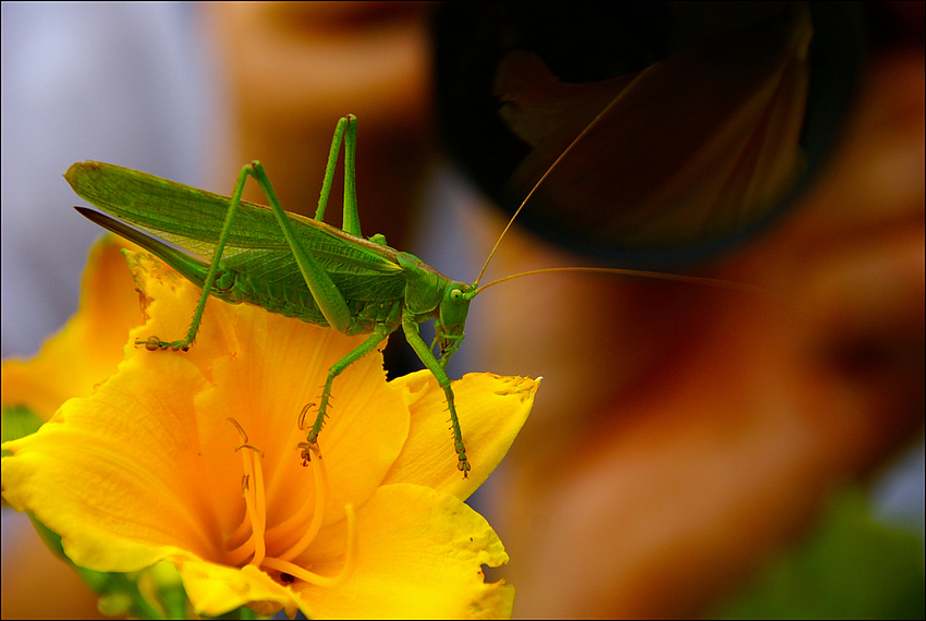 Der Fotograf und sein Motiv....:o)