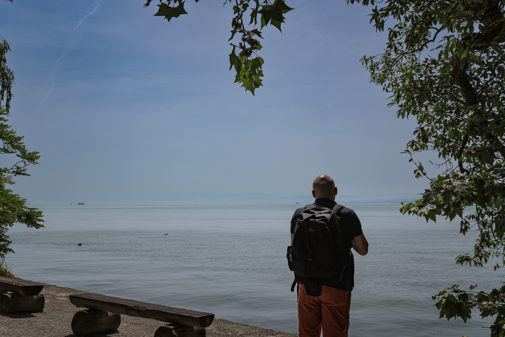 der Fotograf von Mainau