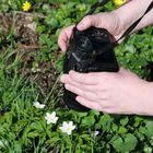 Der Fotografin ihr Frühling