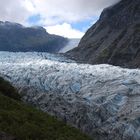 Der Fox Gletscher - Neuseeland