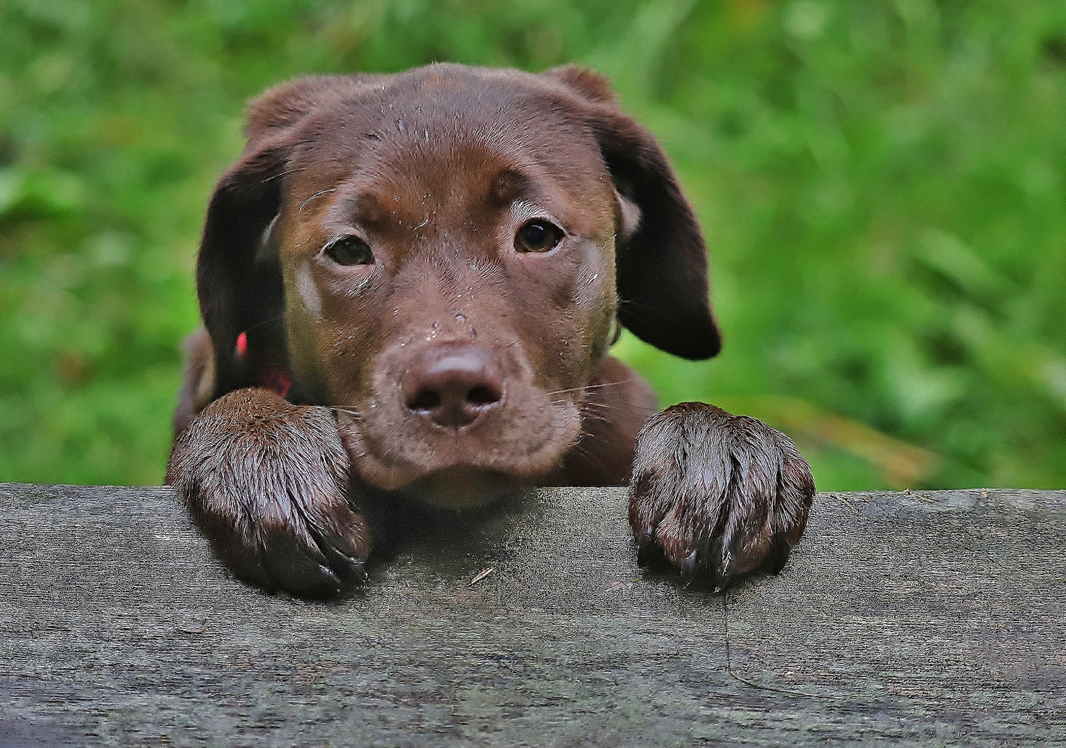 Der fragende Blick...