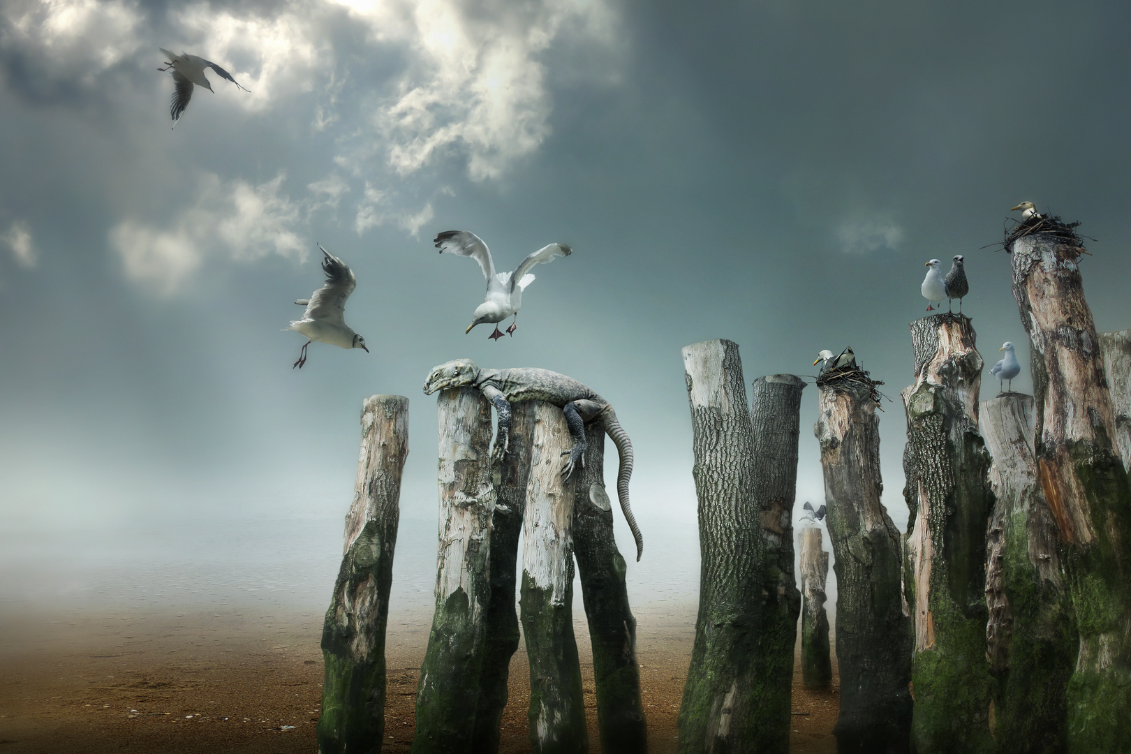 Der Fremde Foto & Bild composing, holz, digiart Bilder auf