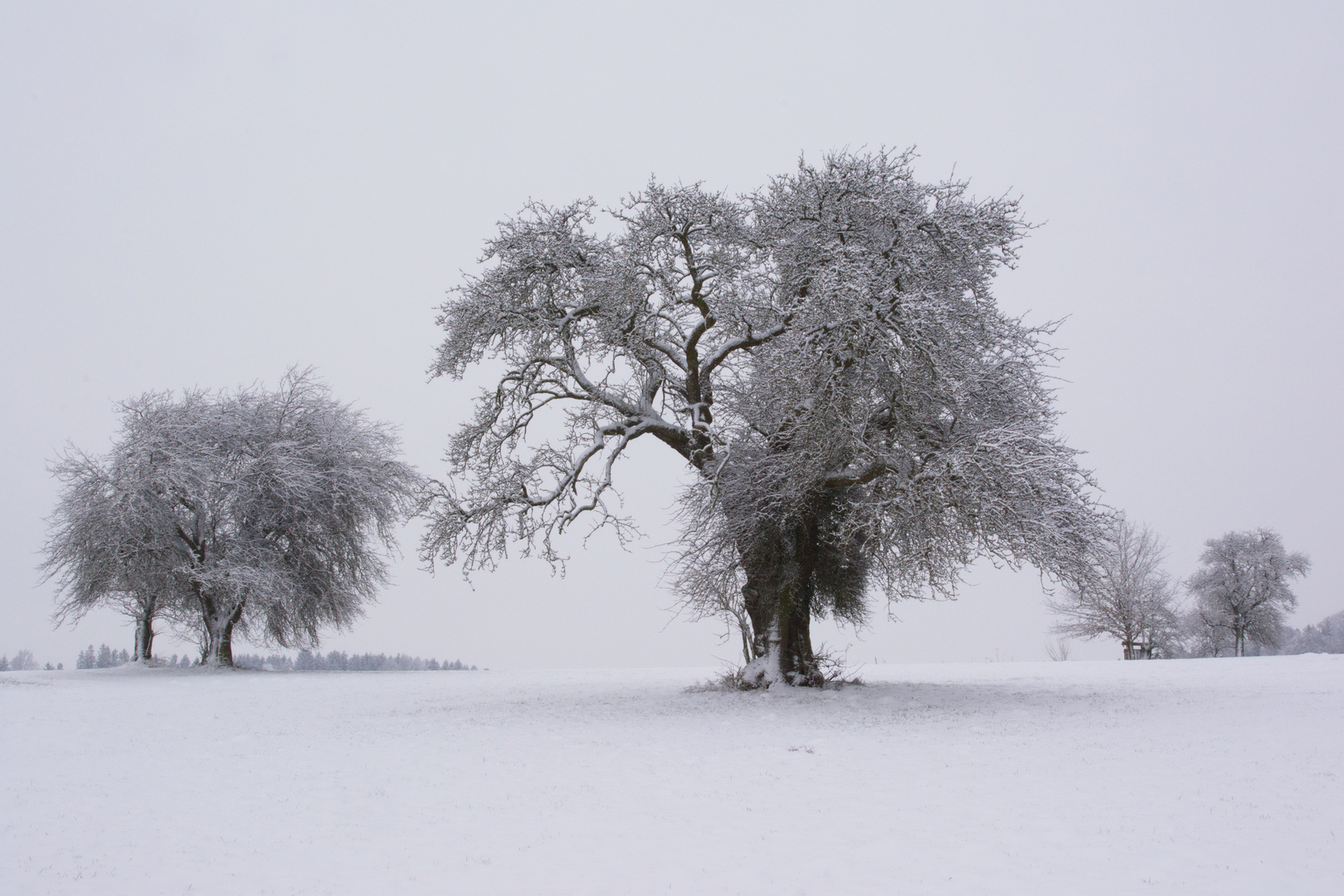 der Friede des Winterkleides...