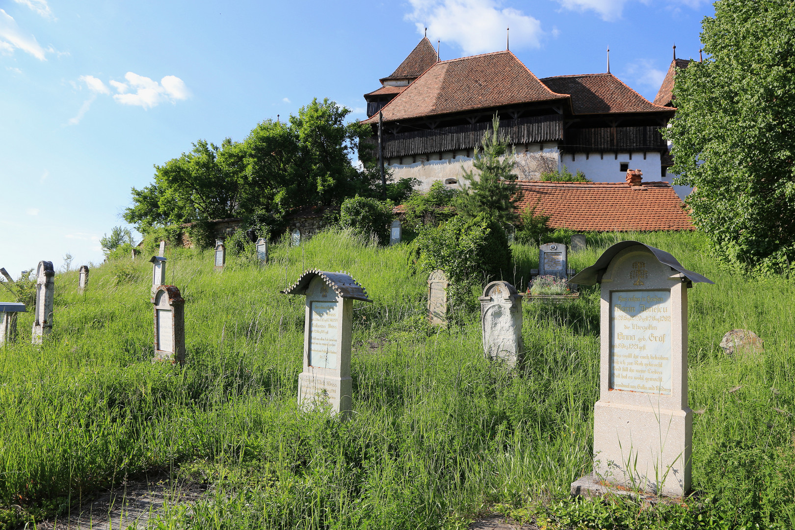 der friedhof