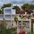 Der Friedhof auf Isla Isabela ( Galapagos )