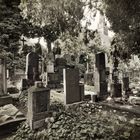 Der Friedhof in Prag