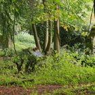 Der Friedhof - Park in Saarbrücken