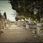 der Friedhof von Isle sur la Sorgue