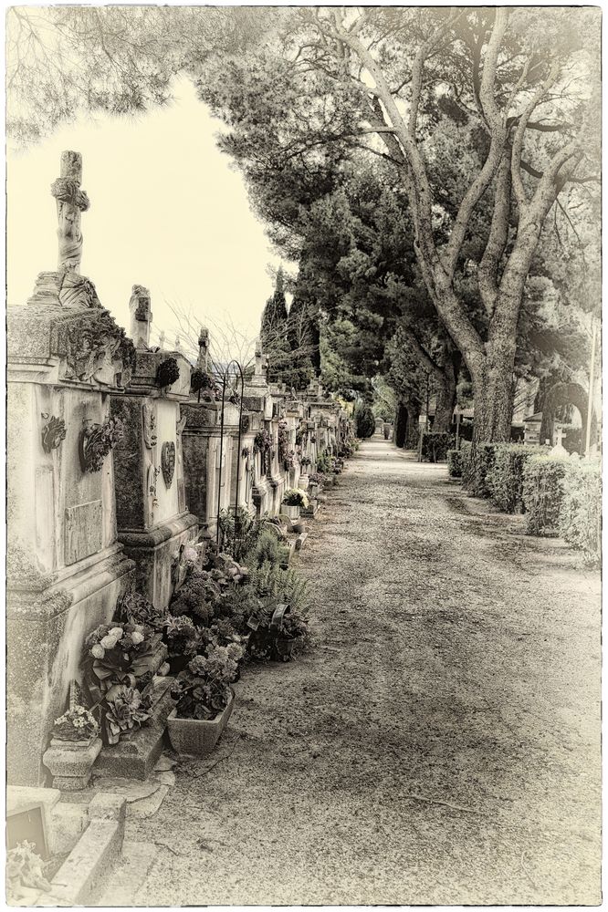 Der Friedhof von L'Isle-sur-la-Sorgue